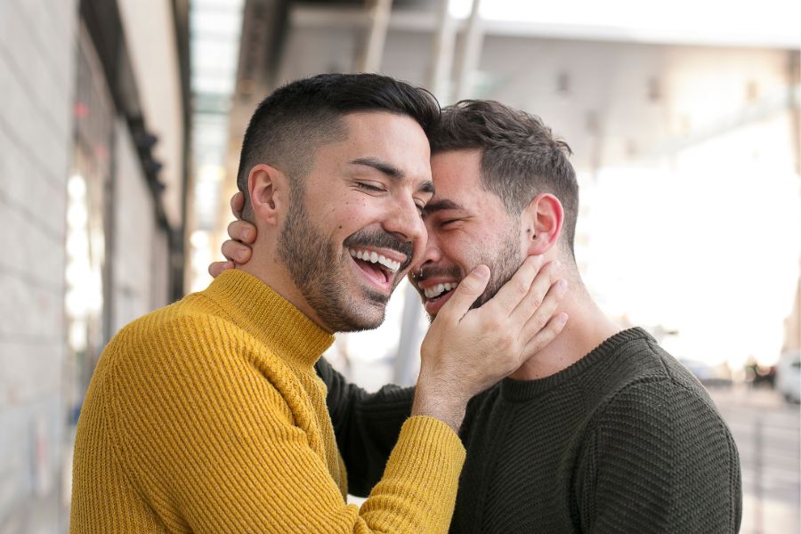 Pareja gay demisexual